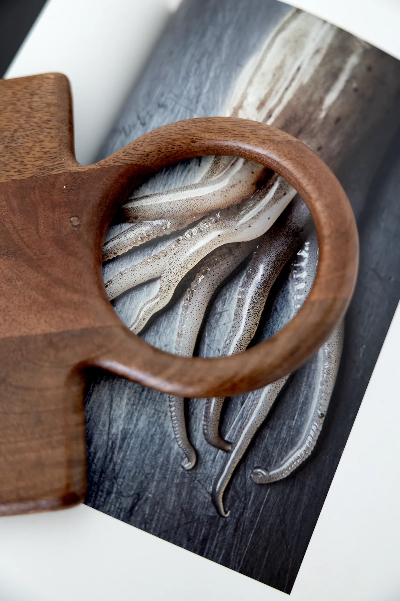 Cocina de el estudio de eres arte con diseño minimalista en Barcelona